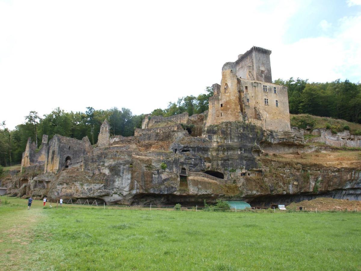 Cozy Cottage In Aquitaine With Private Swimming Pool Peyzac-le-Moustier Exterior foto